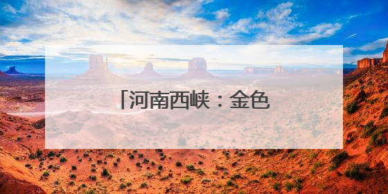 河南西峡：金色麦浪迎丰收 多措并举保“三夏”